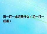 初一打一成语是什么（初一打一成语）