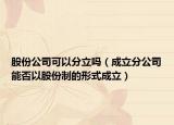 股份公司可以分立吗（成立分公司能否以股份制的形式成立）