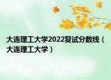大连理工大学2022复试分数线（大连理工大学）