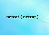 netcat（netcat）