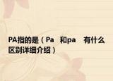 PA指的是（Pa   和pa    有什么区别详细介绍）