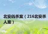 北安凶杀案（216北安杀人案）
