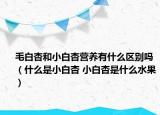 毛白杏和小白杏营养有什么区别吗（什么是小白杏 小白杏是什么水果）