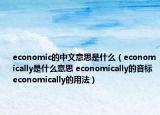 economic的中文意思是什么（economically是什么意思 economically的音标 economically的用法）