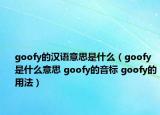 goofy的汉语意思是什么（goofy是什么意思 goofy的音标 goofy的用法）