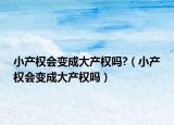 小产权会变成大产权吗?（小产权会变成大产权吗）