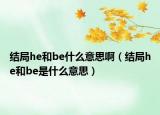 结局he和be什么意思啊（结局he和be是什么意思）