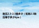 胎压2.3-2.5是多少（轮胎2.5胎压等于多少kpa）