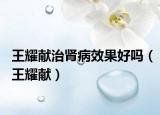 王耀献治肾病效果好吗（王耀献）