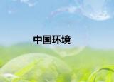 中国环境
