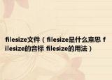 filesize文件（filesize是什么意思 filesize的音标 filesize的用法）