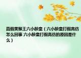 真假美猴王六小龄童（六小龄童打假高仿怎么回事 六小龄童打假高仿的原因是什么）