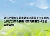 怎么把拼多多同步到菜鸟裹裹（拼多多怎么同步到菜鸟裹裹 和菜鸟裹裹怎样才能同步介绍）