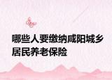 哪些人要缴纳咸阳城乡居民养老保险