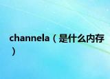 channela（是什么内存）