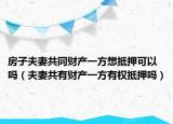 房子夫妻共同财产一方想抵押可以吗（夫妻共有财产一方有权抵押吗）