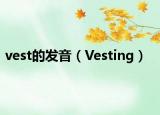 vest的发音（Vesting）