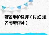 著名辩护律师（肖虹 知名刑辩律师）