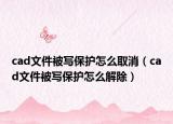 cad文件被写保护怎么取消（cad文件被写保护怎么解除）