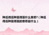 种瓜得瓜种豆得豆什么意思?（种瓜得瓜种豆得豆的意思是什么）