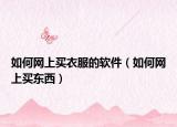 如何网上买衣服的软件（如何网上买东西）