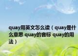quay用英文怎么读（quay是什么意思 quay的音标 quay的用法）