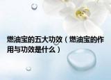 燃油宝的五大功效（燃油宝的作用与功效是什么）
