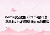 items怎么读的（items是什么意思 items的音标 items的用法）