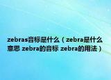 zebras音标是什么（zebra是什么意思 zebra的音标 zebra的用法）