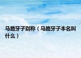 马路牙子别称（马路牙子本名叫什么）