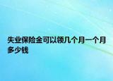失业保险金可以领几个月一个月多少钱