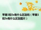 苹果5和5s有什么区别吗（苹果5和5s有什么区别图片）