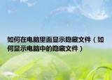 如何在电脑里面显示隐藏文件（如何显示电脑中的隐藏文件）