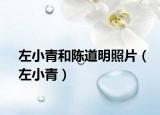 左小青和陈道明照片（左小青）