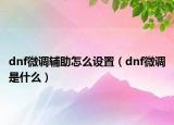 dnf微调辅助怎么设置（dnf微调是什么）