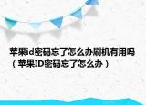 苹果id密码忘了怎么办刷机有用吗（苹果ID密码忘了怎么办）