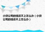 小贷公司的钱还不上怎么办（小贷公司的钱还不上怎么办）