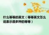什么等等的英文（等等英文怎么说表示很多种的等等）