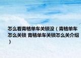 怎么看青桔单车关锁没（青桔单车怎么关锁 青桔单车关锁怎么关介绍）