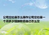 公司交社保怎么操作公司交社保一个月多少钱辞职后自己怎么交