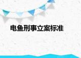 电鱼刑事立案标准