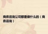商务咨询公司都是做什么的（商务咨询）