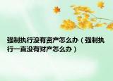 强制执行没有资产怎么办（强制执行一直没有财产怎么办）