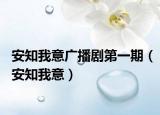 安知我意广播剧第一期（安知我意）