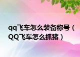 qq飞车怎么装备称号（QQ飞车怎么抓猪）