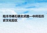 陆丰市碣石镇玄武路—中所街历史文化街区