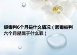 贩毒判6个月是什么情况（贩毒被判六个月是属于什么罪）