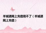 羊城通网上充值用不了（羊城通网上充值）