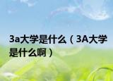 3a大学是什么（3A大学是什么啊）