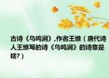 古诗《鸟鸣涧》,作者王维（唐代诗人王维写的诗《鸟鸣涧》的诗意是啥?）
